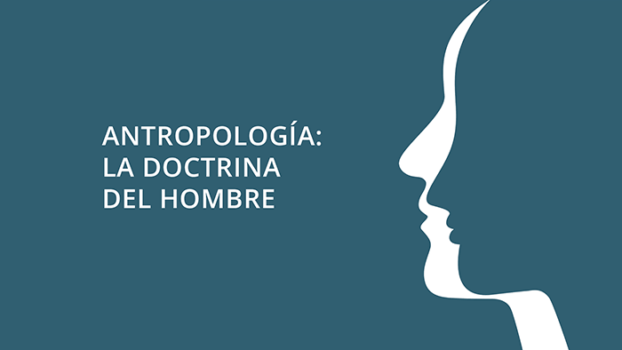 Ver curso